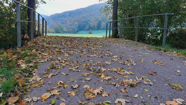 Der Herbst ist die schönste Jahreszeit🍂🍁🌰😍 | Foto: Ralf Röser