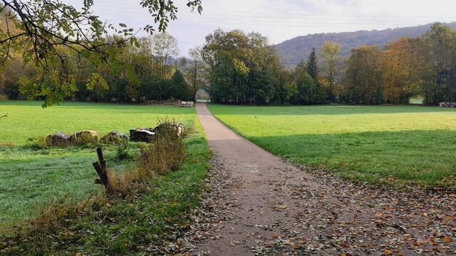 Der Herbst ist die schönste Jahreszeit🍂🍁🌰😍 | Foto: Ralf Röser