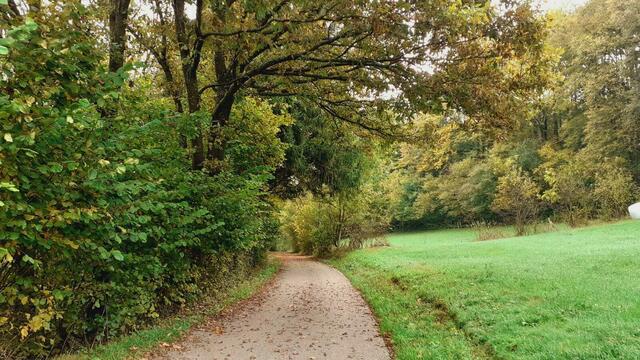 Der Herbst ist die schönste Jahreszeit🍂🍁🌰😍 | Foto: Ralf Röser