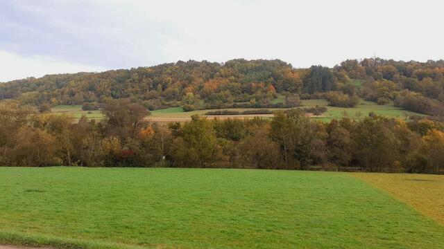 Der Herbst ist die schönste Jahreszeit🍂🍁🌰😍 | Foto: Ralf Röser