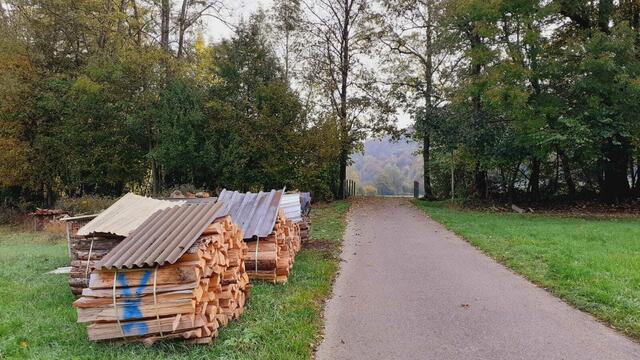 Der Herbst ist die schönste Jahreszeit🍂🍁🌰😍 | Foto: Ralf Röser