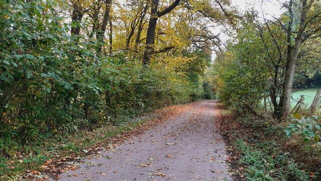 Der Herbst ist die schönste Jahreszeit🍂🍁🌰😍 | Foto: Ralf Röser