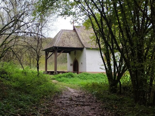 Im Blick zurück die Kapelle verwunschen am Waldrand.  | Foto: sigischlottke