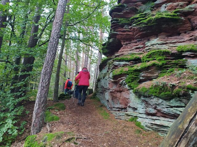 Ein schmaler Pfad führt über den felsigen Höhenrücken der Heidenfelsen.  | Foto: sigischlottke