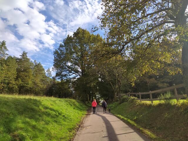 Auf dem Weg zum Auto - die Sonne scheint und der Himmel ist blau | Foto: sigischlottke