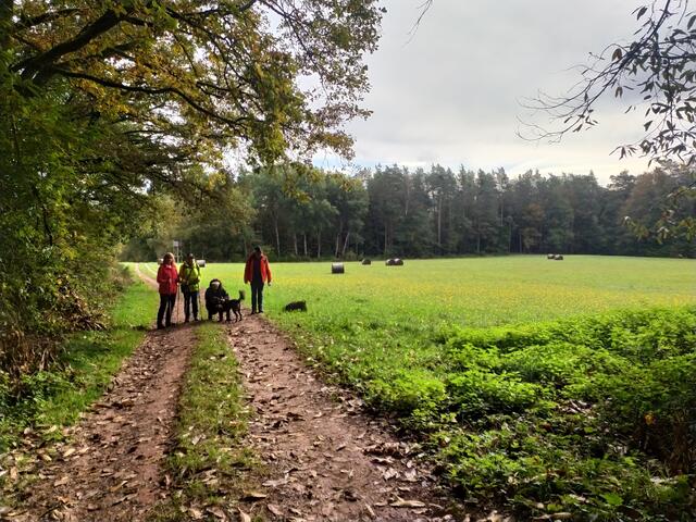 Entlang von Wiesen und Wald wandern wir ins Tal.  | Foto: sigischlottke