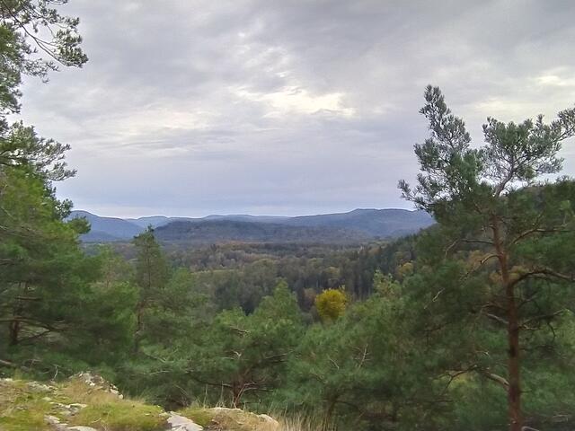 Ausblicke vom Heidenfelsen.  | Foto: sigischlottke