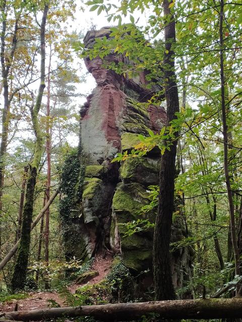 Der zweite Teil unserer Wanderacht zeigt uns schon bald einen der typischen Pfälzer Felsen, den Heidenturm.  | Foto: sigischlottke