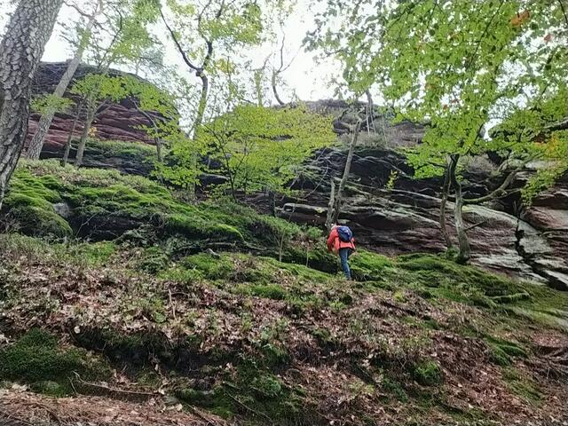 Der Heidenfelsen.  | Foto: sigischlottke