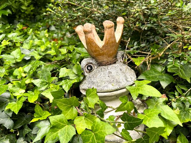 Foto: Heide Böllinger aus Bad Friedrichshall