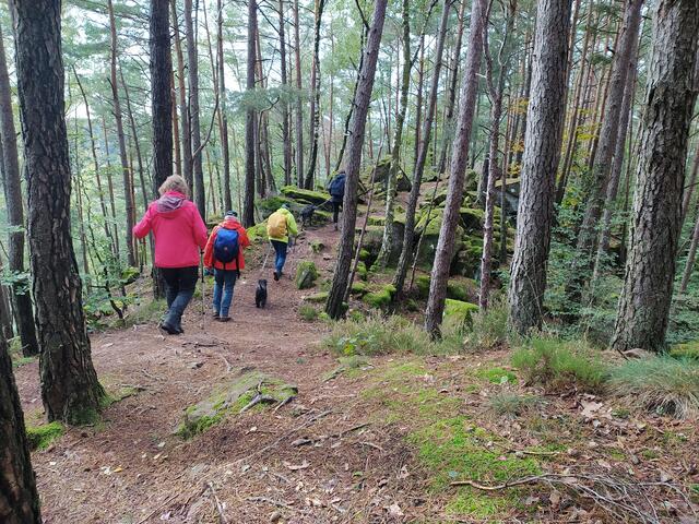 So ein schöner Pfad auf dem Höhenrücken des Heidenbergs.  | Foto: sigischlottke