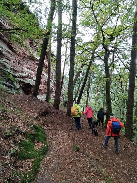 Über Serpentinen geht's wieder bergab.  | Foto: sigischlottke