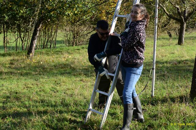 Foto: H. Stark Naturschutzverein