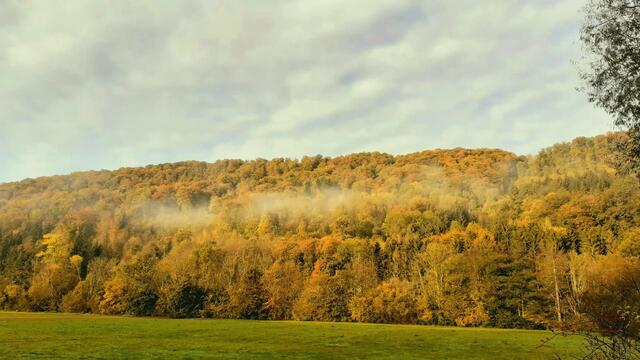 Morgenerwachen | Foto: Ralf Röser