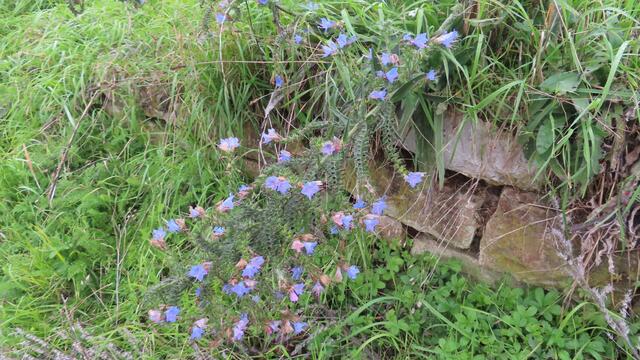 ... blau ... | Foto: privat Sibylle Tröber und Walter Pfenning