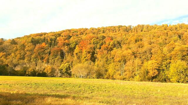 Morgenerwachen | Foto: Ralf Röser