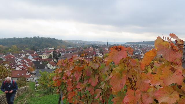 Farbintensiver Blick zurück. | Foto: privat Sibylle Tröber und Walter Pfenning