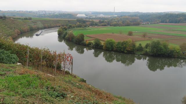 ... und über die Neckarschleife ... | Foto: privat Sibylle Tröber und Walter Pfenning