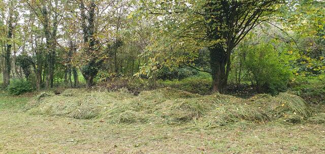 ... da waren fleißige Helfer am Werk! | Foto: privat Sibylle Tröber und Walter Pfenning