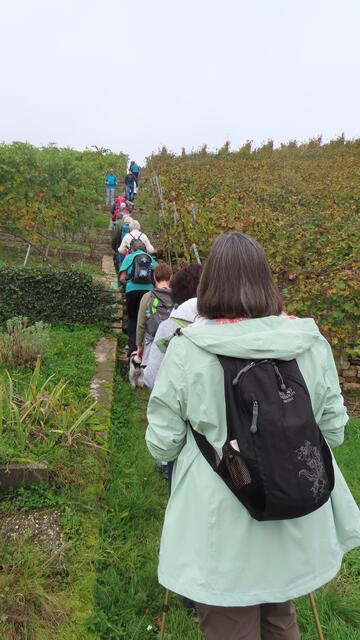 Foto: privat Sibylle Tröber und Walter Pfenning