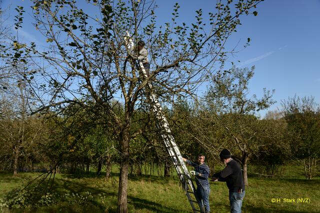 Foto: H. Stark Naturschutzverein