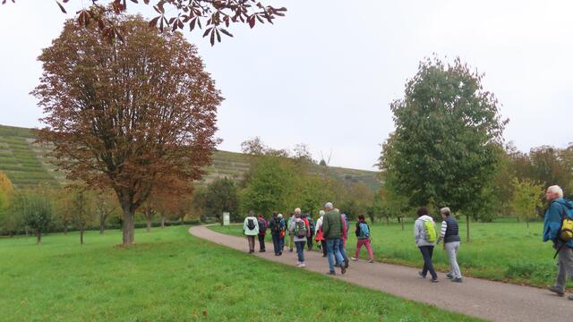 ... und noch ein Stück auf dem Radweg ... | Foto: privat Sibylle Tröber und Walter Pfenning