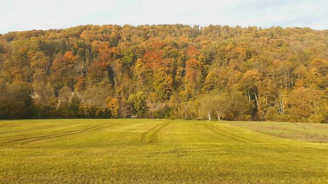 Morgenerwachen | Foto: Ralf Röser