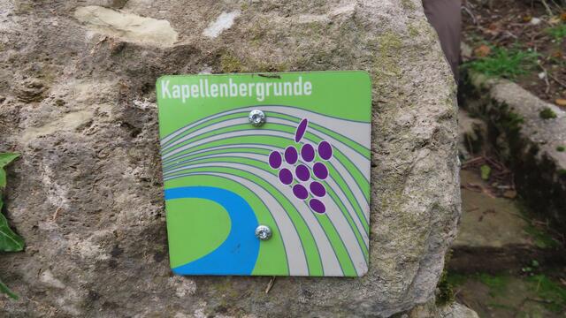 oben angekommen | Foto: privat Sibylle Tröber und Walter Pfenning