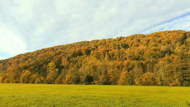 Morgenerwachen | Foto: Ralf Röser