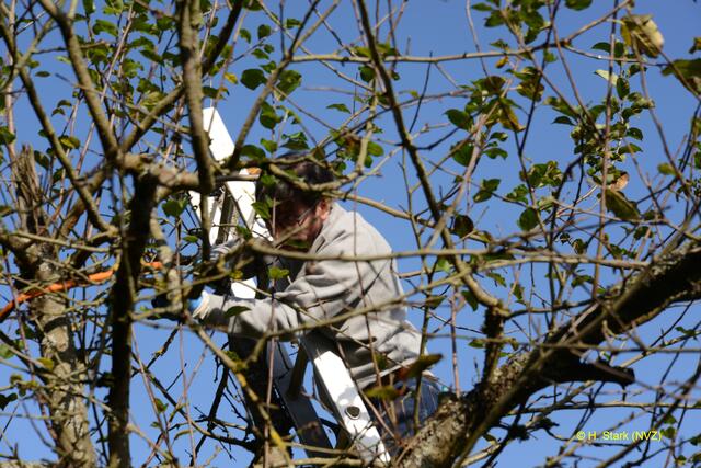 Foto: H. Stark Naturschutzverein