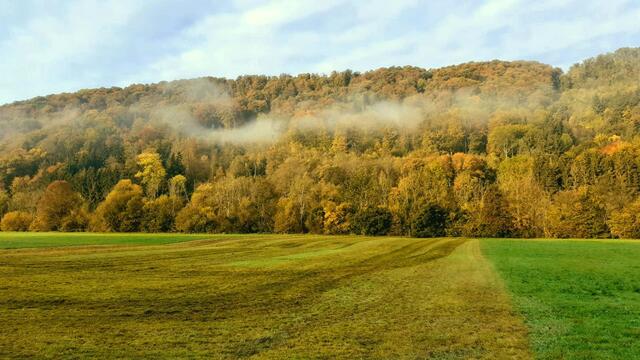 Morgenerwachen | Foto: Ralf Röser