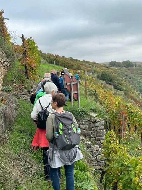 Auf der Kapellenbergrunde werden die Weinberge gequert. | Foto: privat Sibylle Tröber und Walter Pfenning