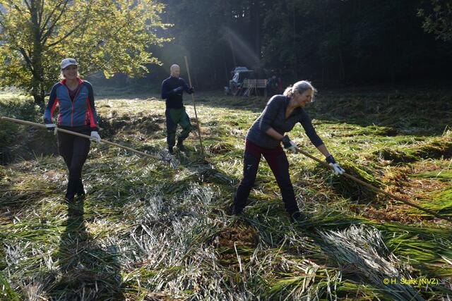 Foto: H. Stark Naturschutzverein