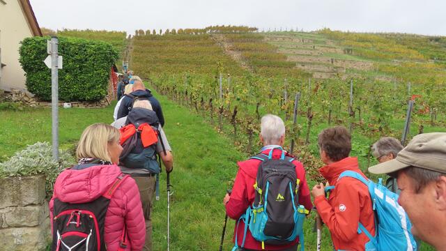 Foto: privat Sibylle Tröber und Walter Pfenning
