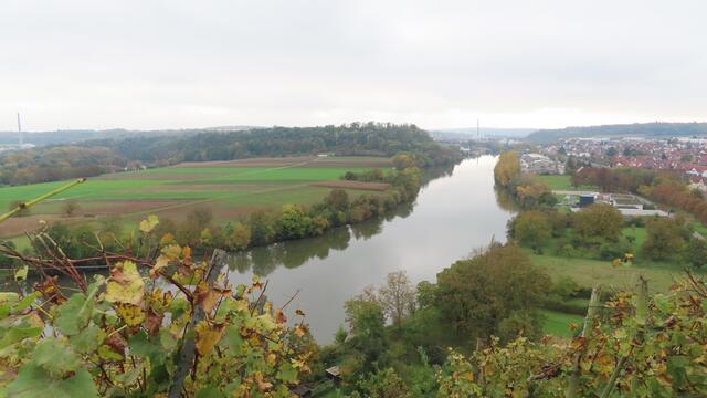 ... und über die Neckarschleife ... | Foto: privat Sibylle Tröber und Walter Pfenning