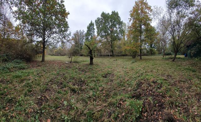 Die Lauffener Orchideenwiese ... | Foto: privat Sibylle Tröber und Walter Pfenning