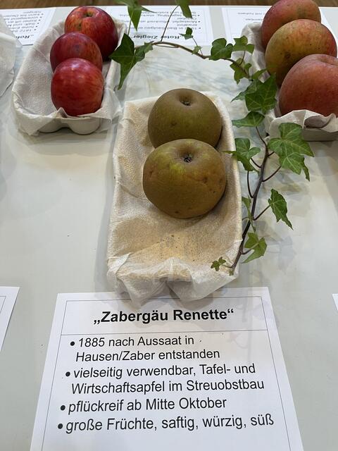 Zu den zahlreichen alten Sorten zählten aus solche aus dem Landkreis Heilbronn | Foto: Andrea Hohlweck BUND RV Heilbronn-Franken