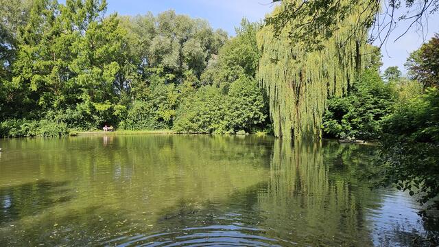 Foto: SAV OG Talheim