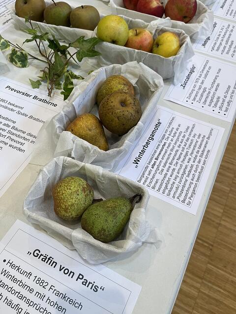 Foto: Andrea Hohlweck BUND RV Heilbronn-Franken