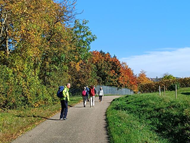 immer wieder lies man die Blicke schweifen | Foto: E. Rosendorf