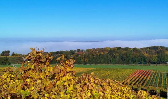 ein beindruckendes BIld | Foto: E. Rosendorf