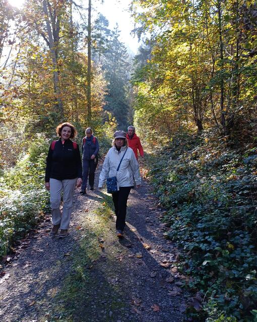 durch Wald und Flur | Foto: E. Rosendorf