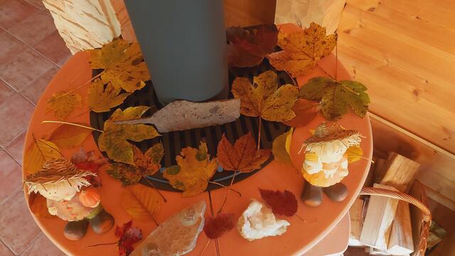 Etwas Herbst mit nachhause genommen🍁🍂🍁🍂 | Foto: Ralf Röser