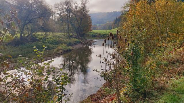 Das Kochertal zwischen Braunsbach und Döttingen | Foto: Ralf Röser