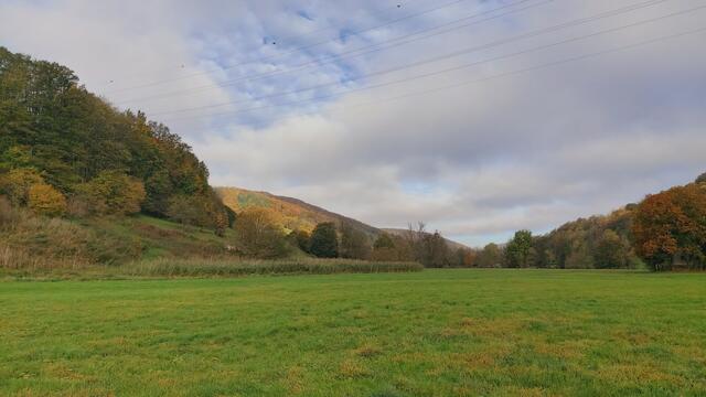 Das Kochertal zwischen Braunsbach und Döttingen | Foto: Ralf Röser