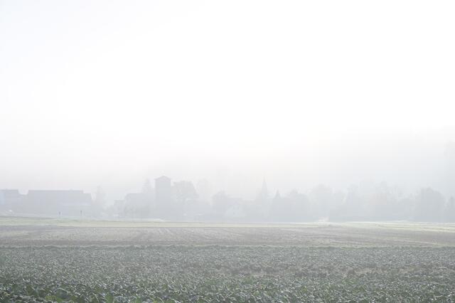Möglingen taucht im Nebel auf.
 | Foto: Michael Harmsen