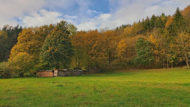 Das Kochertal zwischen Braunsbach und Döttingen | Foto: Ralf Röser