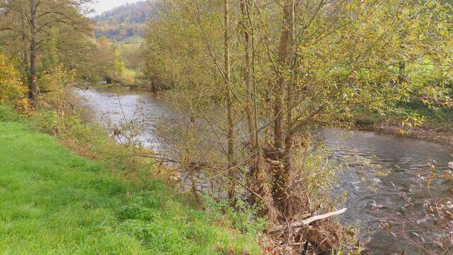 Das Kochertal zwischen Braunsbach und Döttingen | Foto: Ralf Röser