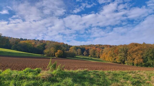 Das Kochertal zwischen Braunsbach und Döttingen | Foto: Ralf Röser