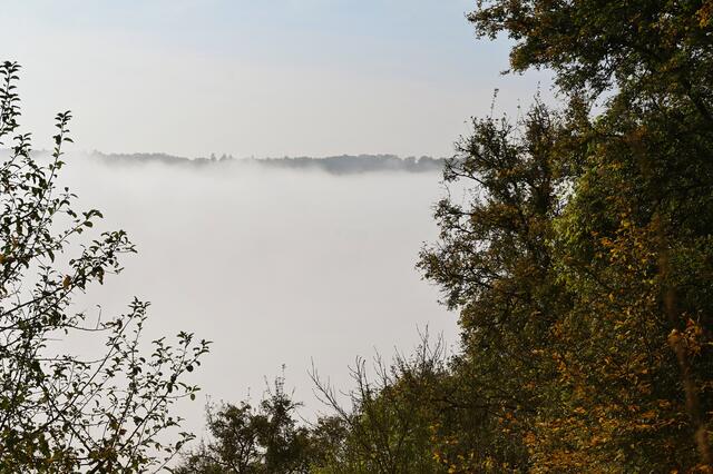 Nebelwand. | Foto: Michael Harmsen